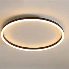Romantic Ceiling Light – Customizable Study & Bedroom Fixture